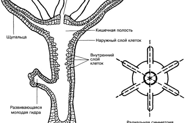 Кракен даркнет рынок