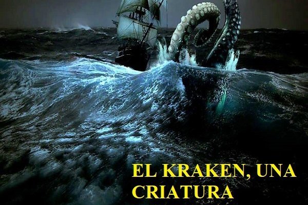 Kraken наркшоп